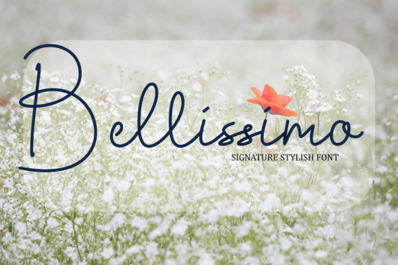 Bellissimo: A Script Font for Modern Web Design