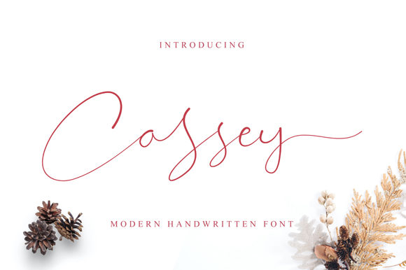 Cassey Font: Elegant Script for Web Design
