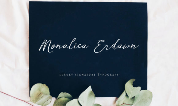 Monalica Erdawn: A Designer’s Practical Review
